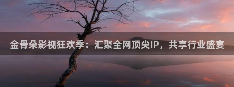 青柠直播在线观看：金骨朵影视狂欢季：汇聚全网顶尖IP，共享行业盛宴