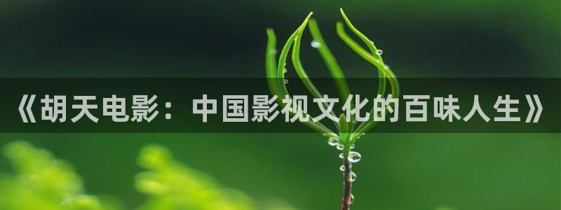 青柠影院电影：《胡天电影：中国影视文化的百味人生》