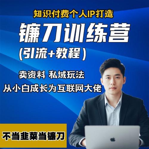 2025知识付费镰刀训练营虚拟产品个人IP教程卖资料培训实操运营