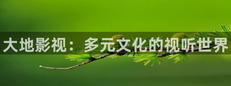 青柠影院官网：大地影视：多元文化的视听世界