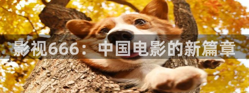 青柠影院观看：影视666：中国电影的新篇章