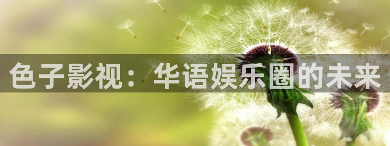 青柠影视免费观看：色子影视：华语娱乐圈的未来