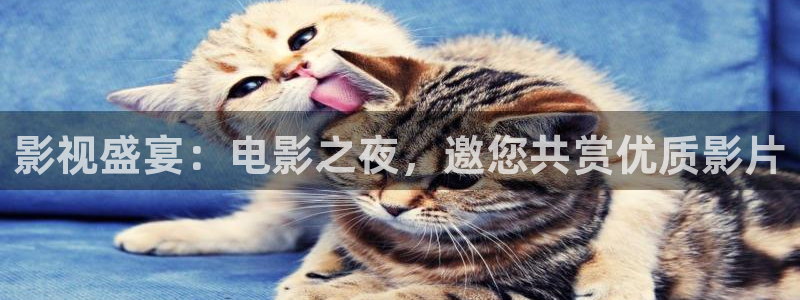 青柠影院看电影：影视盛宴：电影之夜，邀您共赏优质影片